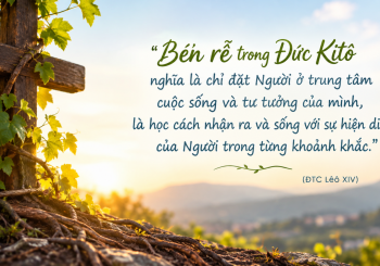Đức tin và văn hóa